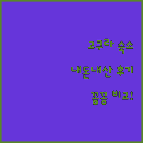 고쿠라 여행 숙소 추천! 내돈내산 후기로 꼼꼼 비교!